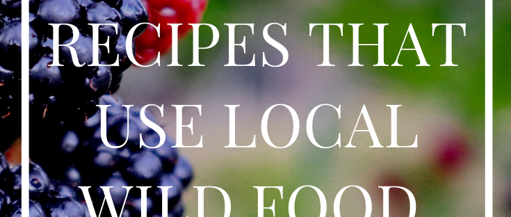 3 Recipes that use Local Wild Food